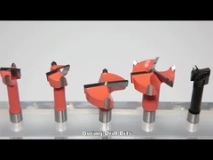 Trzpień 10x20mm z węglika wolframu, końcówka z wkładką, wiertło do otworów w drewnie